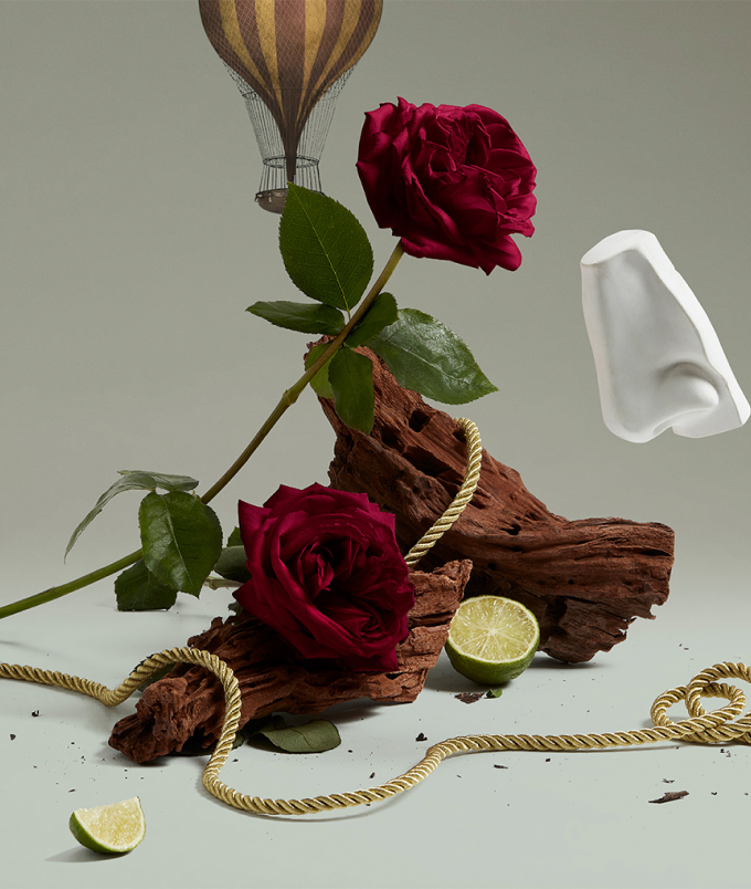 Halfeti discovery set